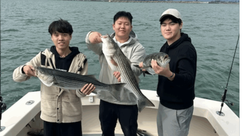 3 boys holding each fsh