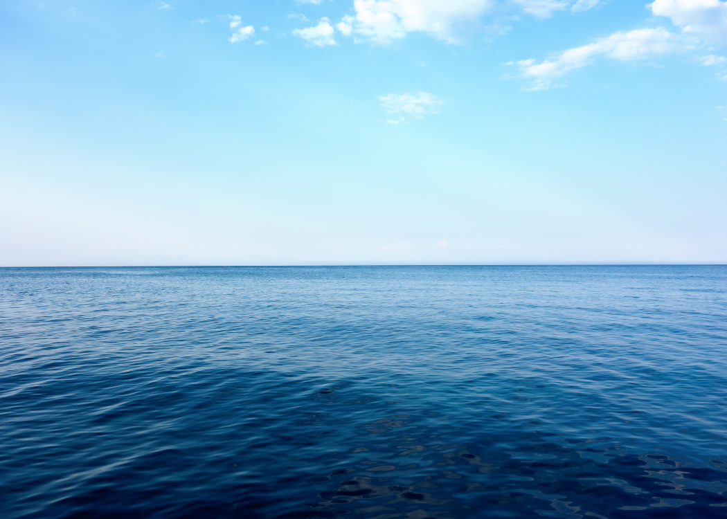 How to Prepare for a Successful Fishing Trip in Boston Harbor